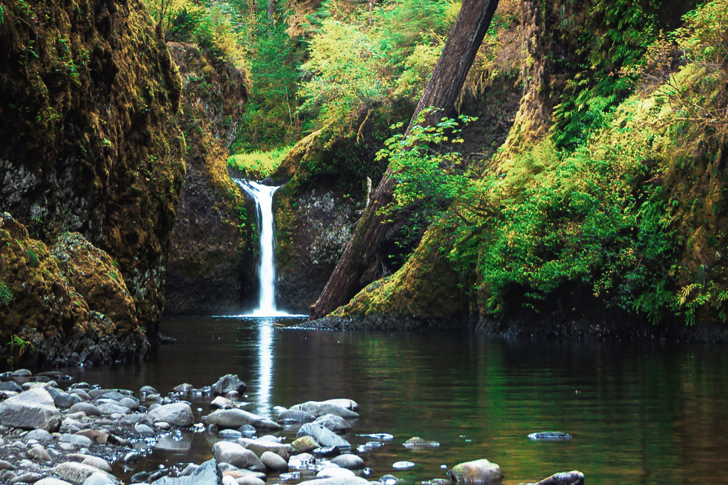 Punch Bowl Falls